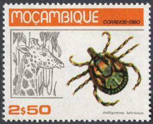 Colnect-1001-540-South-African-Bont-Tick-Amblyomma-hebraeum-Giraffe-Giraf.jpg