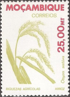 Colnect-1116-818-Rice-Oryza-sativa.jpg