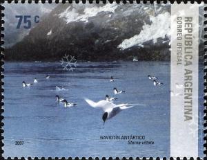 Colnect-1420-968-Antarctic-Tern-Sterna-vittata.jpg