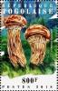 Colnect-4882-546-Tricholama-matsutake.jpg