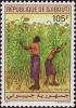 Colnect-1381-642-Picking-Sugarcane.jpg