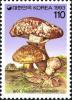 Colnect-2680-860-Tricholoma-matsutake.jpg