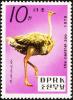 Colnect-1423-039-Ostrich-Struthio-camelus.jpg