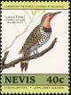 Colnect-1646-378-Northern-Flicker-nbsp-Colaptes-auratus.jpg