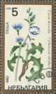 Colnect-654-172-Cichorium-intybus.jpg