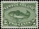 Colnect-919-764-Atlantic-Cod-Gadus-morrhua.jpg