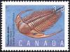 Colnect-1024-005-Paradoxides-davidis-Trilobite-Cambrian-Period.jpg