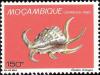 Colnect-1116-443-Chiragra-Spider-Conch-Lambis-chiragra.jpg