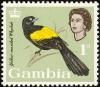 Colnect-1462-541-Yellow-mantled-Widowbird%C2%A0Euplectes-macrourus-%C2%A0.jpg