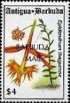 Colnect-1753-208-Epidendrum-ibaguense.jpg