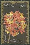 Colnect-1949-245-Epidendrum-hawkesii.jpg