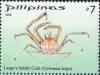 Colnect-2874-952-Largo--s-Spider-Crab-Cyrtomaia-largoi.jpg