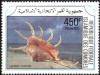 Colnect-3204-113-Orange-Spider-Conch-Lambis-crocata.jpg