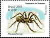 Colnect-4042-802-Spider-Phoneutria-sp.jpg