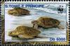 Colnect-5275-230-Lapidochelys-olivacea.jpg