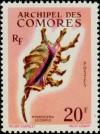 Colnect-787-706-Scorpion-Spider-Conch-Lambis-scorpio.jpg