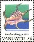 Colnect-1239-682-Chiragra-Spider-Conch-Lambis-chiragra.jpg