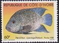 Colnect-1943-283-Texas-Cichlid-Herichtys-cyanoguttatum.jpg