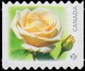 Colnect-4699-169-Maid-of-Honour-white.jpg