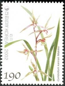 Colnect-1606-325-Cymbidium-Kanran-Makino.jpg