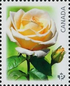 Colnect-3163-847-Maid-of-Honour-white.jpg