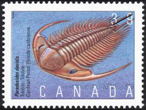 Colnect-1024-005-Paradoxides-davidis-Trilobite-Cambrian-Period.jpg