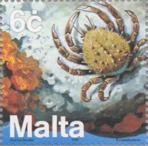 Colnect-131-350-Spiny-Spider-Crab-Maia-squinado.jpg