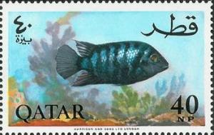 Colnect-2175-272-Convict-Cichlid-Cichlasoma-nigrofasciatum.jpg