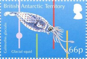 Colnect-3716-131-Glacial-Squid-Psychroteuthis-glacialis.jpg