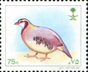 Colnect-5312-781-Arabian-Partridge-Alectoris-melanocephala.jpg