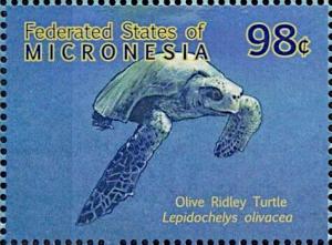 Colnect-5733-407-Lepidochelys-olivacea.jpg