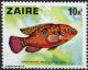 Colnect-1108-700-Jewel-Cichlid-Hemichromis-bimaculatus.jpg