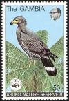 Colnect-1462-472-African-Harrier-hawk-Polyboroides-typus.jpg