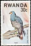 Colnect-1779-930-African-Harrier-Hawk-Gymnogenys-typicus.jpg