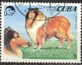 Colnect-1235-551-Rough-Collie-Canis-lupus-familiaris.jpg