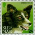 Colnect-125-086-Border-Collie-Canis-lupus-familiaris.jpg