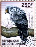 Colnect-3444-444-African-Harrier-hawk-Polyboroides-typus.jpg