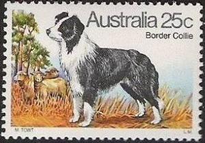 Colnect-477-698-Border-Collie-Canis-lupus-familiaris.jpg