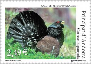 Colnect-694-042-Capercaillie-Cock-Tetrao-urogallus.jpg