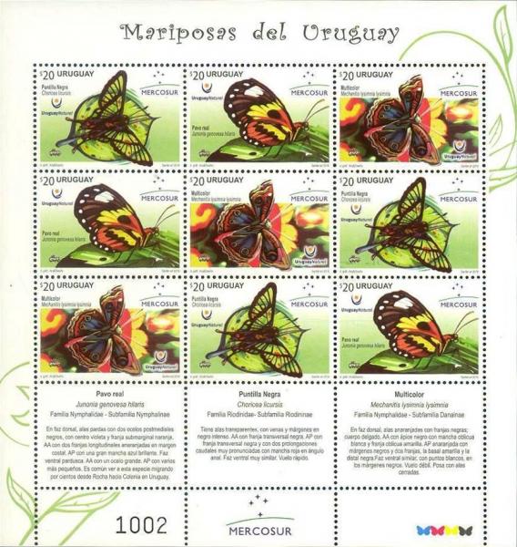 Colnect-3969-773-Butterflies-of-Uruguay-Minisheet.jpg