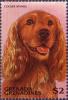 Colnect-2355-072-Cocker-Spaniel-Canis-lupus-familiaris.jpg