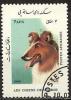 Colnect-1186-488-Rough-Collie-Canis-lupus-familiaris.jpg