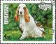 Colnect-3259-497-Cocker-Spaniel-Canis-lupus-familiaris.jpg