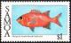 Colnect-3628-299-Berndt-s-Soldierfish-Myripristis-berendti.jpg