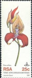 Disa-uniflora.jpg