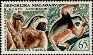 Colnect-2580-947-Diademed-Sifaka-Propithecus-diadema.jpg