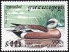 Colnect-1527-004-American-Wigeon-nbsp-Anas-americana.jpg