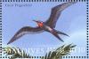 Colnect-1631-366-Great-Frigatebird-Fregata-minor.jpg