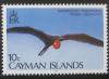 Colnect-1680-827-Magnificent-Frigatebird-Fregata-magnificens.jpg