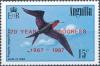 Colnect-1910-418-Magnificent-Frigatebird-Fregata-magnificens.jpg